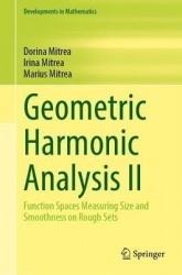 Geometric Harmonic Analysis II : Function Spaces Measuring Size and Smoothness on Rough Sets
