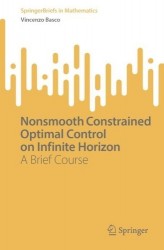 Nonsmooth Constrained Optimal Control on Infinite Horizon : A Brief Course