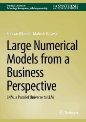 Large Numerical Models from a Business Perspective - LNM, a Parallel Universe to LLM