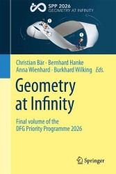 Geometry at Infinity - Final volume of the DFG Priority Programme 2026