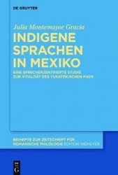 Indigene Sprachen in Mexiko - Eine sprecherzentrierte Studie zur Vitalität des yukatekischen Maya