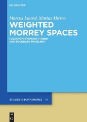 Weighted Morrey Spaces - Calderón-Zygmund Theory and Boundary Problems