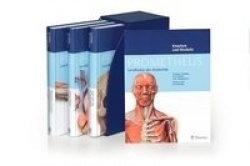 PROMETHEUS LernPaket Anatomie