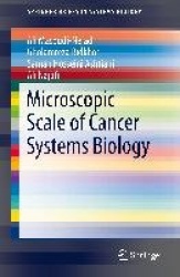 Microscopic Scale of Cancer Systems Biology