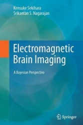 Electromagnetic Brain Imaging : A Bayesian Perspective