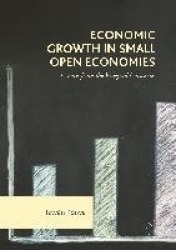 Economic Growth in Small Open Economies : Lessons from the Visegrad Countries