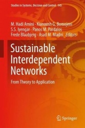 Sustainable Interdependent Networks : From Theory to Application