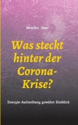 Was steckt hinter der Corona-Krise? - Energie-Aufstellung gewahrt Einblick