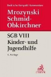SGB VIII Kinder- und Jugendhilfe