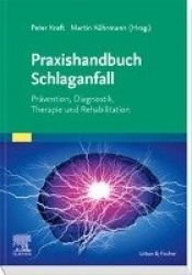Praxishandbuch Schlaganfall : Prävention, Diagnostik, Therapie und Rehabilitation