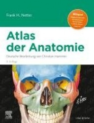 Netter Atlas der Anatomie : Deutsche Bearbeitung von Christian Hammer
