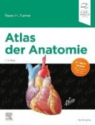 Atlas der Anatomie : Deutsche Übersetzung von Christian M. Hammer - Mit StudentConsult-Zugang