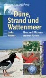 Düne, Strand und Wattenmeer