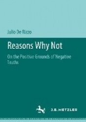 Reasons Why Not : On the Positive Grounds of Negative Truths