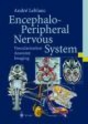 Encephalo-Peripheral Nervous System - Vascularisation Anatomy Imaging