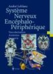 Système Nerveux Encéphalo-Périphérique: Vascularisation Anatomie Imagerie