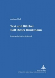 Text Und Bild Bei Rolf Dieter Brinkmann - Intermedialitaet Im Spaetwerk