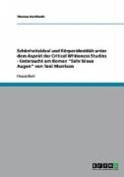 Schönheitsideal und Körperidentität unter dem Aspekt der Critical Whiteness Studies - Untersucht am Roman