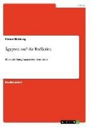 AEgypten und die Radikalen - Mubaraks Kampf gegen den Islamismus