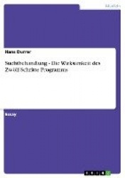 Suchtbehandlung - Die Wirksamkeit des Zwölf-Schritte Programms