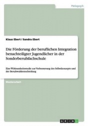 Die Foerderung der beruflichen Integration benachteiligter Jugendlicher in der Sonderberufsfachschule - Eine Wirksamkeitsstudie 