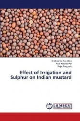 Effect of Irrigation and Sulphur on Indian mustard