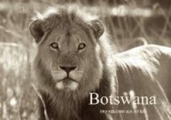 Botswana -Impressionen aus Afrika (Posterbuch DIN A4 quer)