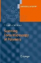 Scanning Force Microscopy of Polymers