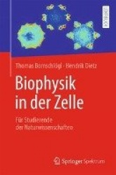 Biophysik in der Zelle : Für angehende Naturwissenschaftler