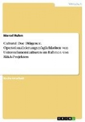 Cultural Due Diligence. Operationalisierungsmöglichkeiten von Unternehmenskulturen im Rahmen von M&A-Projekten