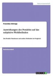 Auswirkungen des Pendelns auf das subjektive Wohlbefinden - Das Pendler Paradoxon und andere Methoden im Vergleich