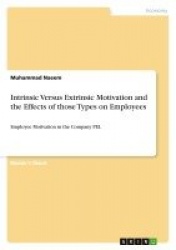 Intrinsic Versus Extrinsic Motivation and the Effects of those Types on Employees - Employee Motivation in the Company PEL
