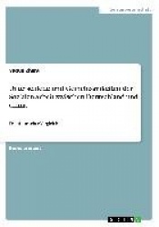 Unterschiede und Gemeinsamkeiten der Sozialen Arbeit zwischen Deutschland und China - Ein historischer Vergleich
