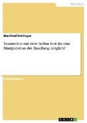 Teamrollen mit dem Belbin Test. Ist eine Manipulation der Zuteilung möglich?