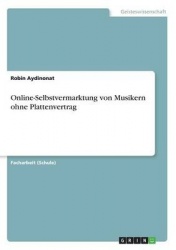 Online-Selbstvermarktung von Musikern ohne Plattenvertrag
