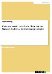 Chinesisch-mittelstandische Reisende am Standort Bodensee. Vermarktungsstrategien