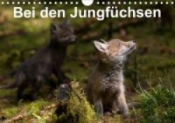 Bei den Jungfüchsen (Wandkalender 2020 DIN A4 quer)