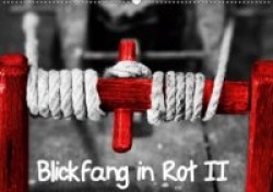 Blickfang in Rot (Wandkalender 2020 DIN A2 quer)