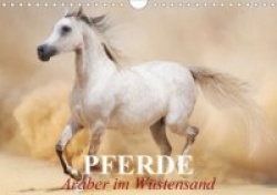 Pferde . Araber im Wüstensand (Wandkalender 2020 DIN A4 quer)