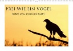Frei wie ein Vogel (Wandkalender 2020 DIN A3 quer)