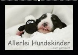 Allerlei Hundekinder (Wandkalender 2020 DIN A2 quer)