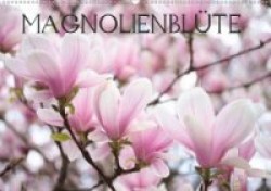 Magnolienblüte (Wandkalender 2020 DIN A2 quer)