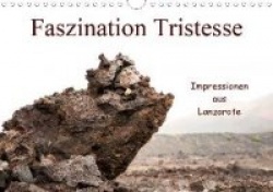 Faszination Tristesse - Impressionen aus Lanzarote (Wandkalender 2020 DIN A4 quer)