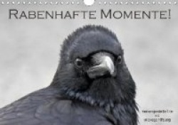 Rabenhafte Momente! (Wandkalender 2020 DIN A4 quer)