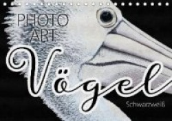 Vögel Schwarzweiß Photo Art (Tischkalender 2020 DIN A5 quer)