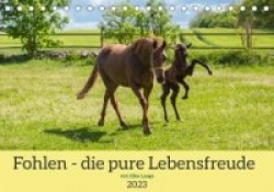 Fohlen - die pure Lebensfreude (Tischkalender 2023 DIN A5 quer)