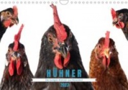 Die lustigen Hühner aus Mosenhof (Wandkalender 2023 DIN A4 quer)