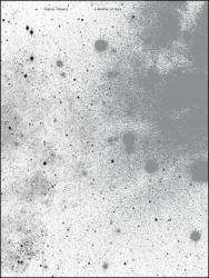 Florian Schwarz - A handful of dust