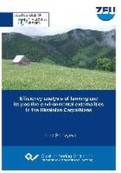 Efficiency analysis of farming and its positive environmental externalities in the Ukrainian Carpathians