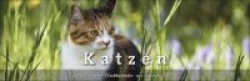 Tischkalender Katzen 2023